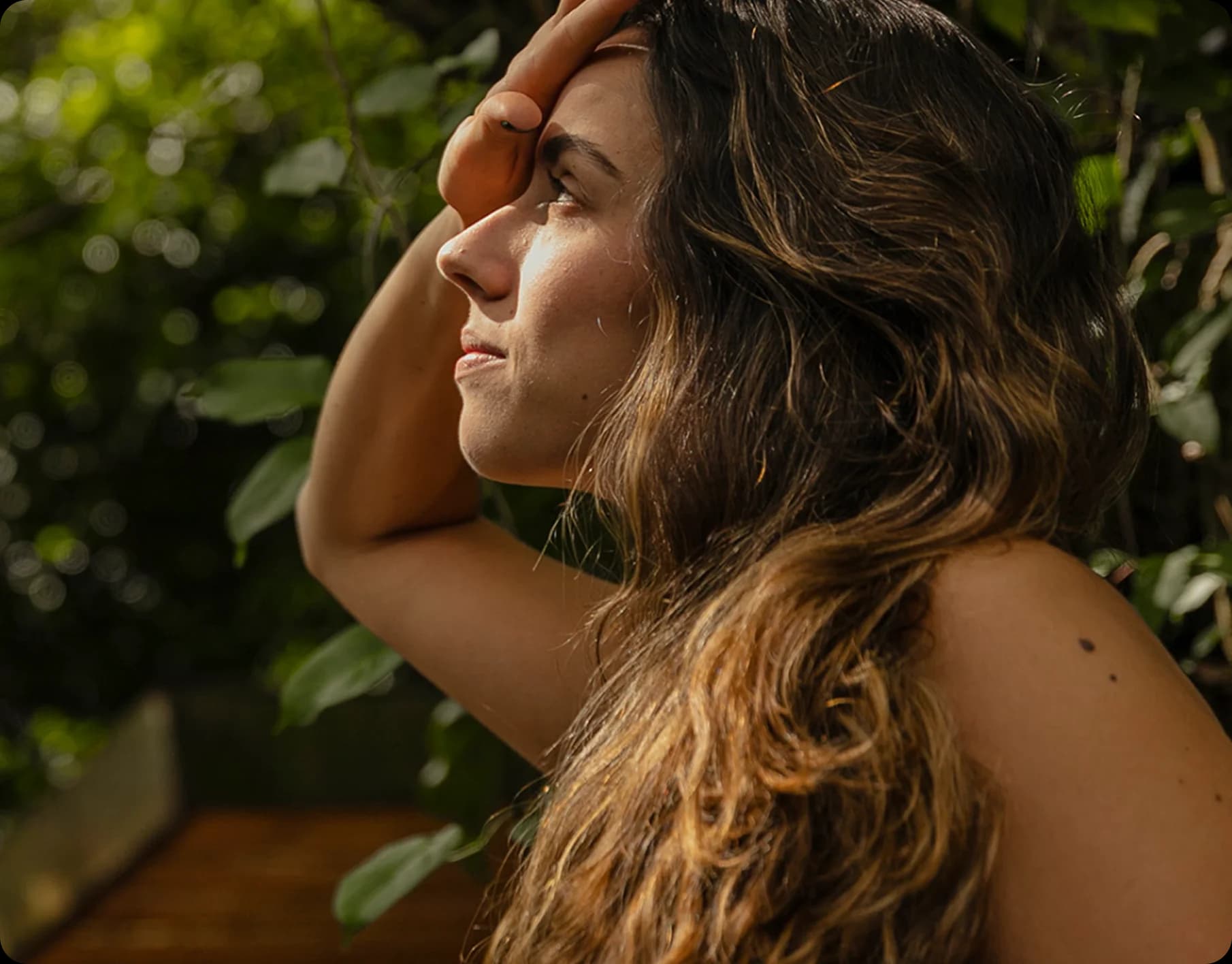 Flor de Íris detail 1