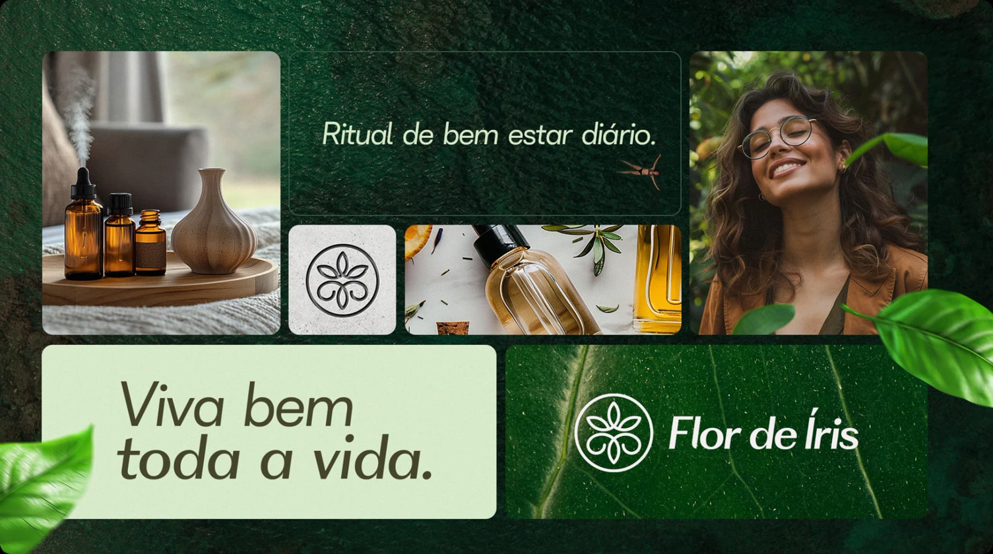 Flor de Íris gallery 2