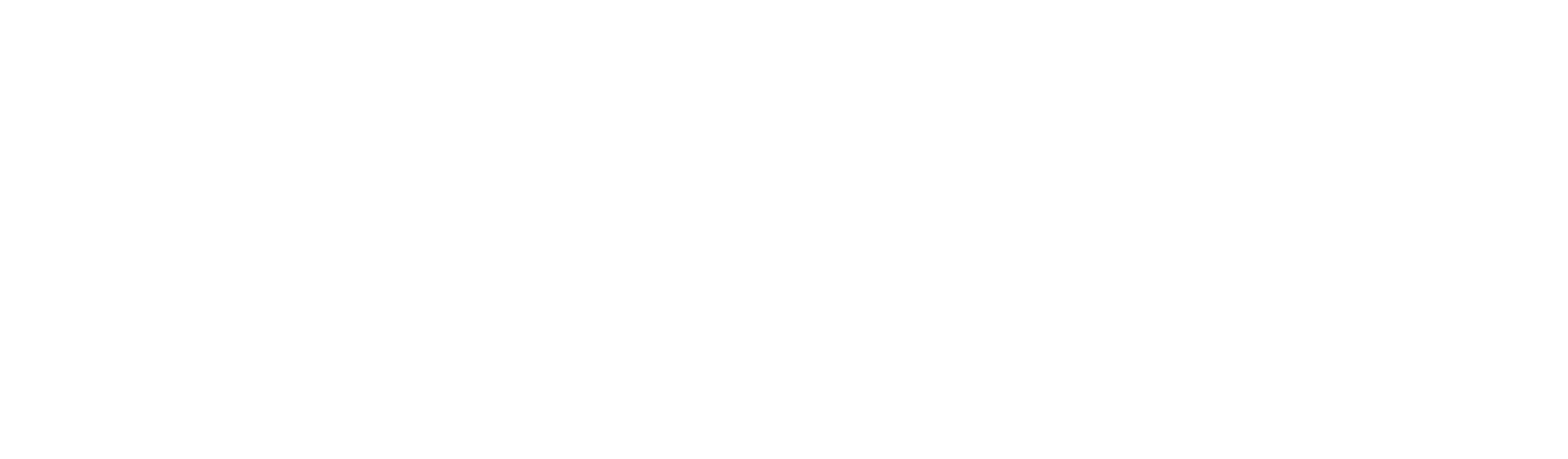 Stoika Logo